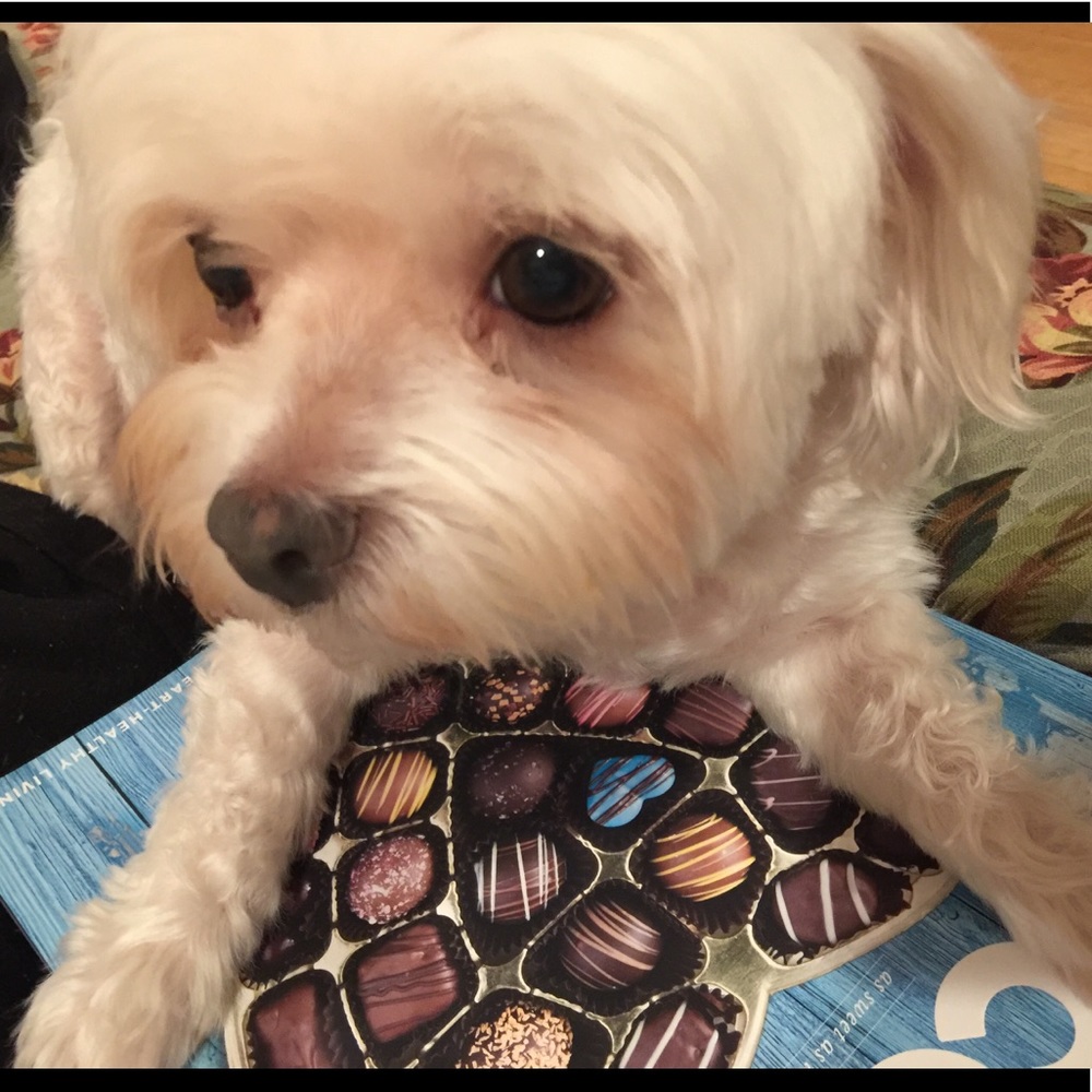 Meet your Posher, Ricky